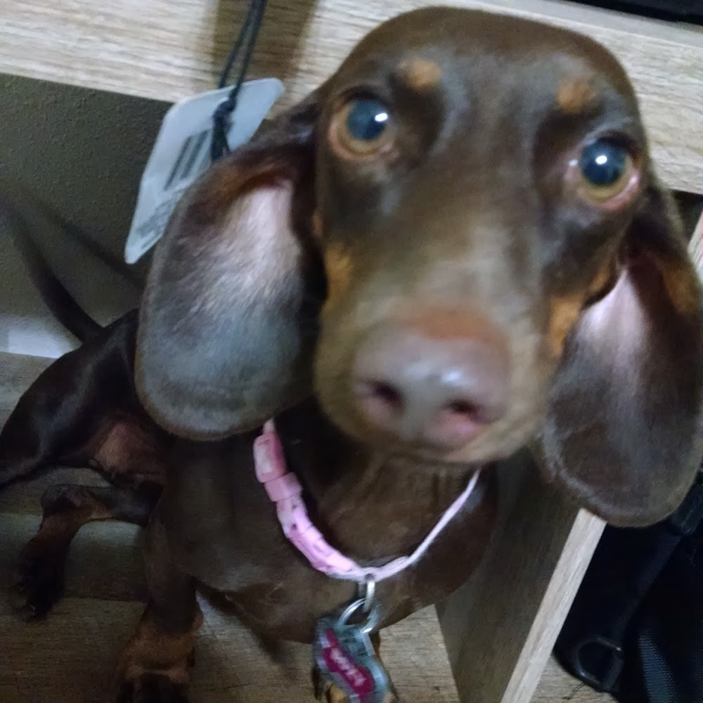 Meet your Posher, Jay